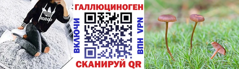 Галлюциногенные грибы MAGIC MUSHROOMS  закладка  Нефтеюганск 